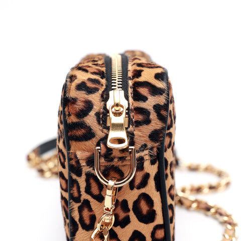 Miss piccola in Cavallino